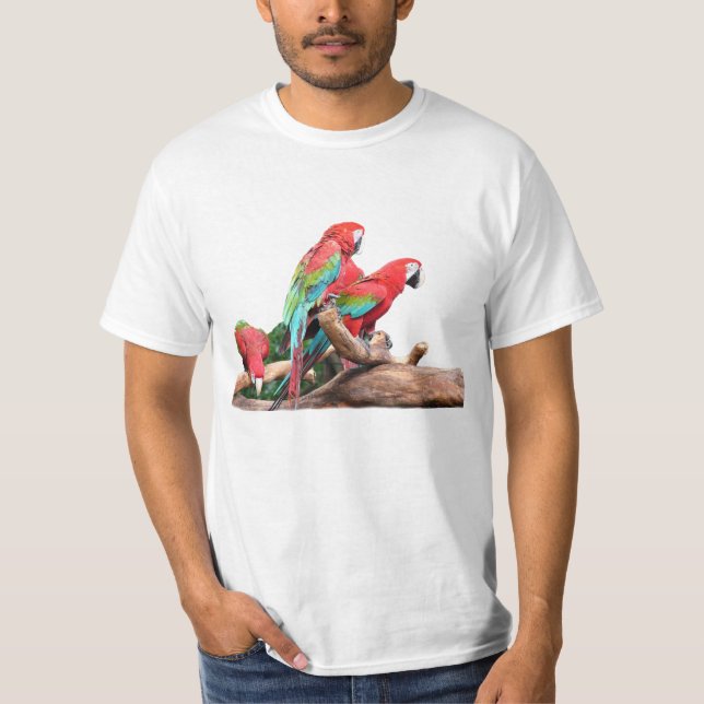 T-shirt três papagaios coloridos (Frente)