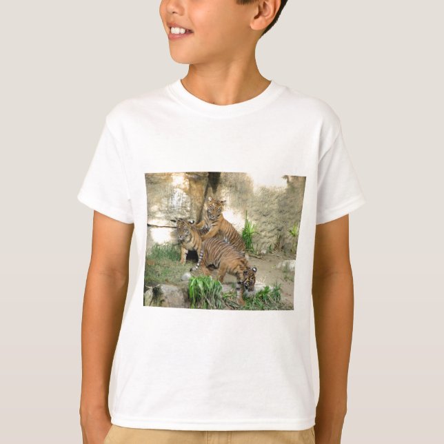 T-shirt Três tigre Cubs (Frente)