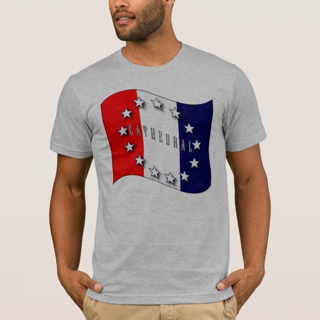 T-shirt Tributo americano V2 (Frente)