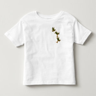 T-shirt Trio de escalada do sapo