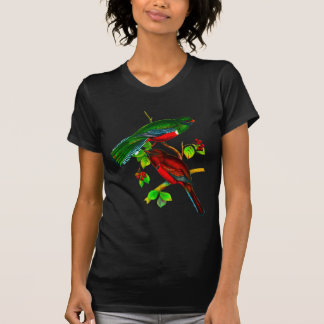 T-shirt Trogon colocado um colar