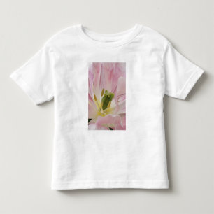 T-shirt Tulipa close-up, Jardins Keukenhof, Lisse,