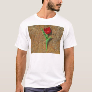 T-shirt Tulipa vermelha e amarela