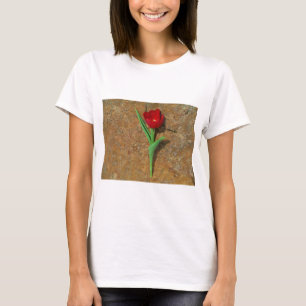 T-shirt Tulipa vermelha e amarela