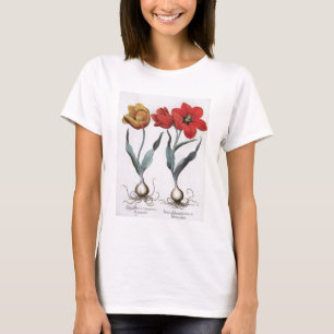 T-shirt Tulipas: 1.Tulipa globosa serotina cinnabrio color