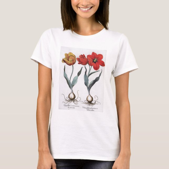 T-shirt Tulipas: 1.Tulipa globosa serotina cinnabrio color (Frente)