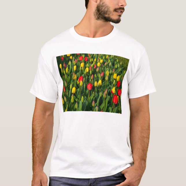 T-shirt Tulipas Coloridas (Frente)