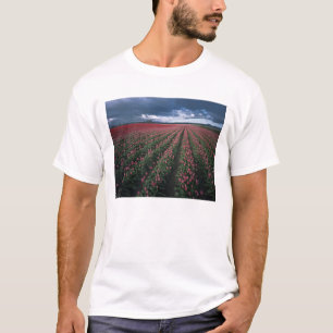 T-shirt Tulipas rosa brilhante e vermelho brilham sob o es