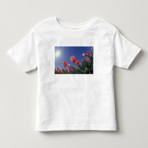T-shirt Tulipas vermelhas de ângulo muito baixo, Cincinnat