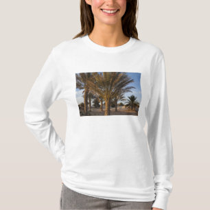 T-shirt Tunísia, Deserto do Saara, Douz, Grande Duna, palm