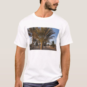 T-shirt Tunísia, Deserto do Saara, Douz, Grande Duna, palm