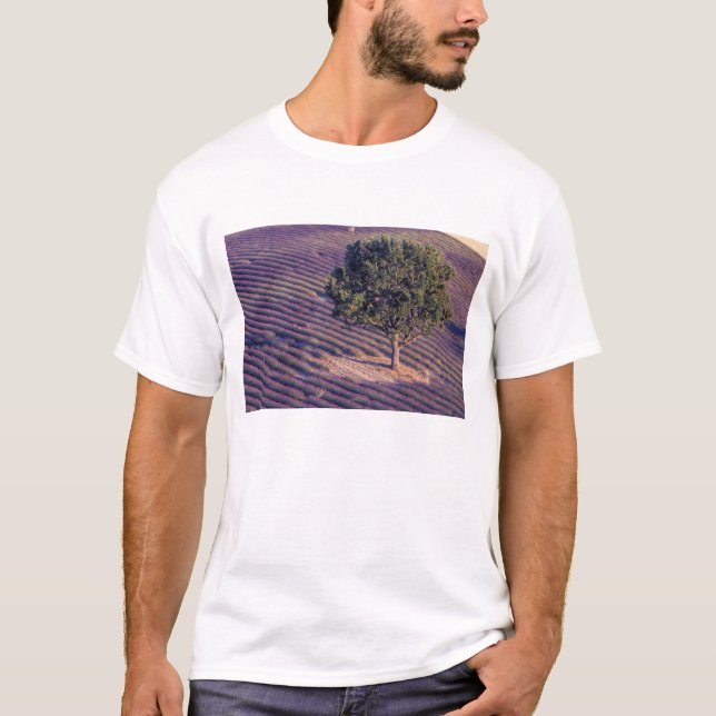 T-shirt UE, França, Provença, campos de Lavanda (Frente)