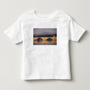 T-shirt UE, França, Provença, Vaucluse, Avignon. Ponte
