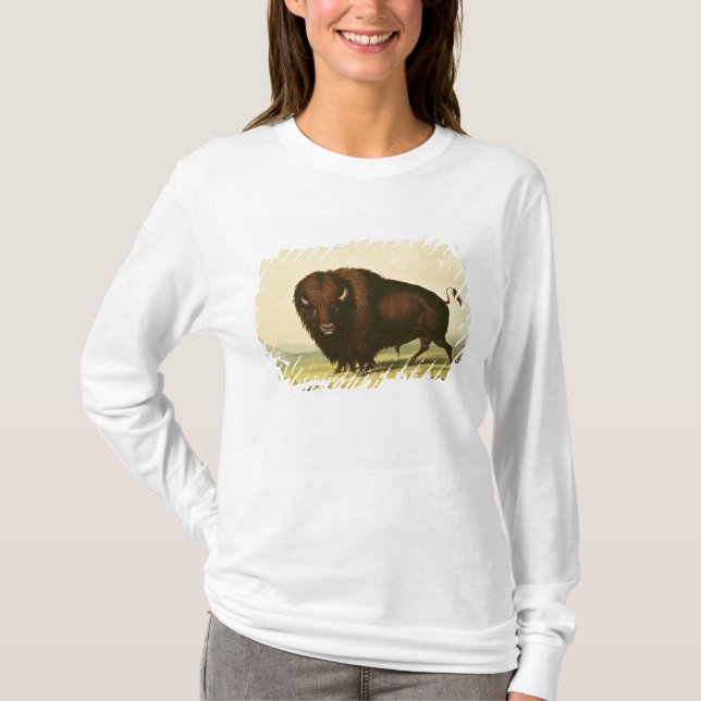 T-shirt Um bisonte, c.1832 (Frente)