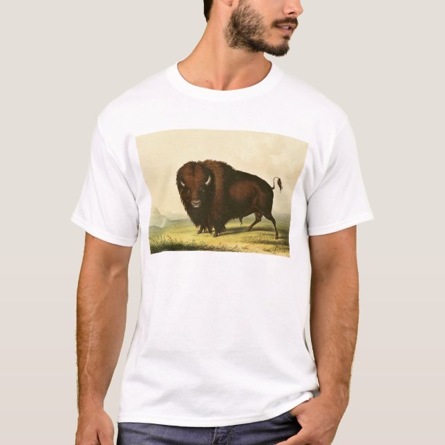 T-shirt Um bisonte, c.1832 (Frente)