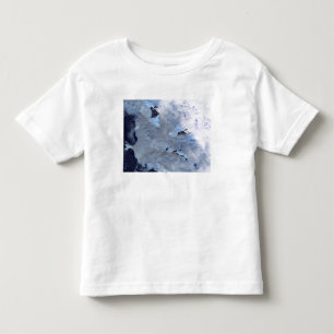 T-shirt Um campo pequeno das geleiras cerca a baía de