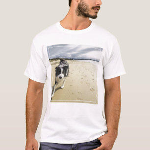 T-shirt Um cão de border collie que funciona na praia