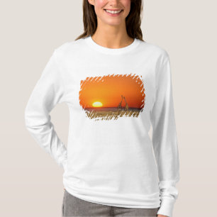 T-shirt Um casal de girafas caminha para o pôr do sol, em