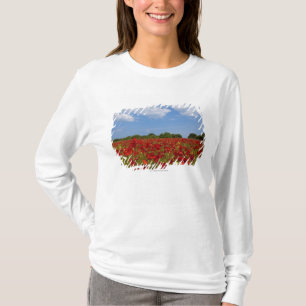 T-shirt Um cheio do campo de flores vermelhas