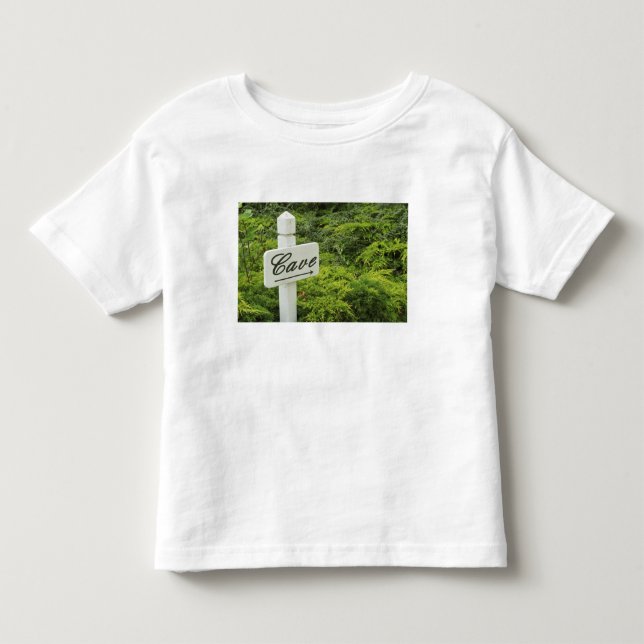 T-shirt Um sinal apontando para a adega (Cave) em (Frente)
