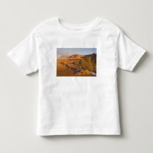 T-shirt Uma árvore de Juniperus osteosperma em 2