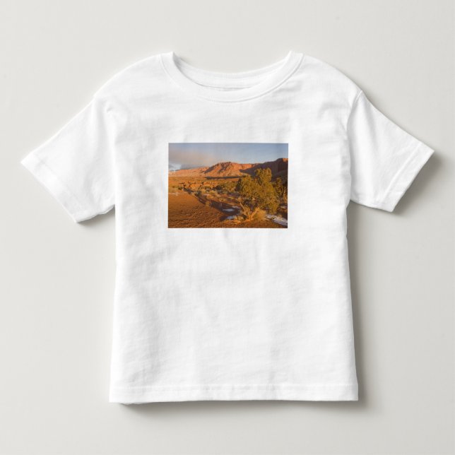 T-shirt Uma árvore de Juniperus osteosperma em 2 (Frente)