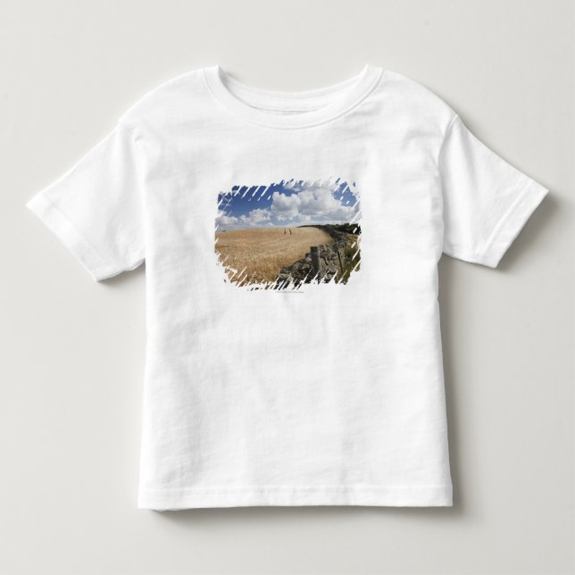 T-shirt Uma cerca do arame farpado construída ao longo de (Frente)
