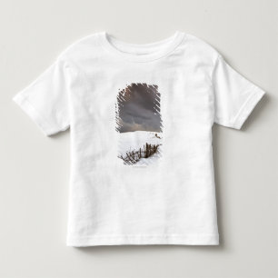 T-shirt Uma cerca quebrada ao longo de um campo coberto de