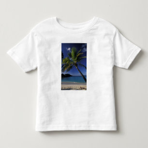 T-shirt Uma das melhores praias do mundo; Trunk Bay em