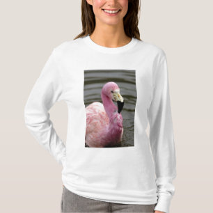 T-shirt Uma foto cativa de um Flamingo Andino