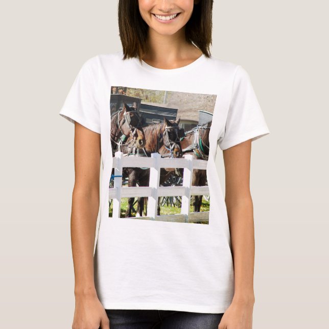 T-shirt Uma Linha de Cavalos Amish (Frente)
