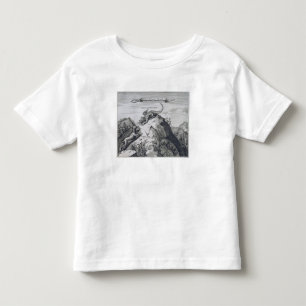 T-shirt Uma montanha na província de Jiangxi com Crags
