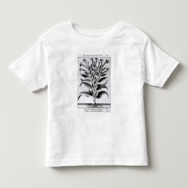 T-shirt Uma planta de tabaco, 1622 (Frente)