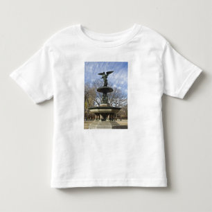 T-shirt Uma seca fonte Bethesda no inverno em Central Park