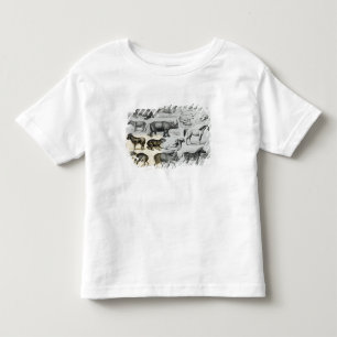 T-shirt Ungulata ou animais Hoofed