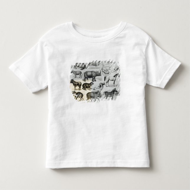 T-shirt Ungulata ou animais Hoofed (Frente)