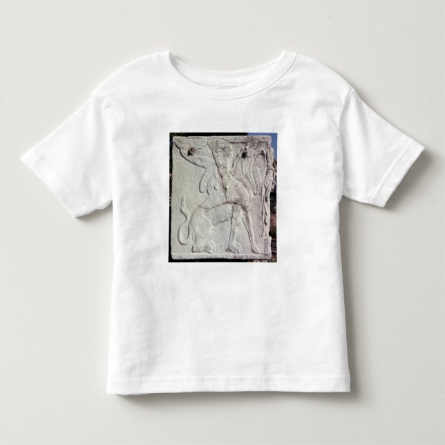T-shirt Urna fúnebre com alivio cinzelado de um grifo (Frente)