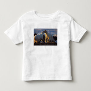 T-shirt Ursas polares com filhote ao lado, 1002 costeira