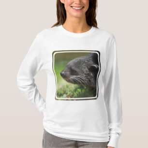 T-shirt Urso Hoody de Binturong