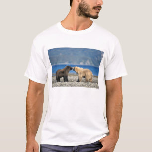 T-shirt Urso pardo, urso cinzento, brincam na praia,