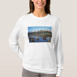 T-shirt Urso pardo, urso cinzento, porca e filhotes em