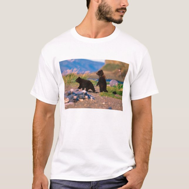 T-shirt Urso Pardo, Ursus arctos, Península do Alasca, (Frente)