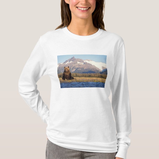 T-shirt urso pardo, Ursus arctos, urso cinzento, Ursus (Frente)