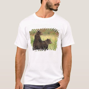 T-shirt urso pardo, Ursus arctos, urso cinzento, Ursus 2