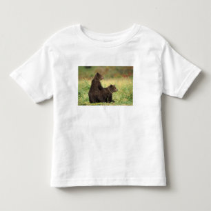 T-shirt urso pardo, Ursus arctos, urso cinzento, Ursus 2