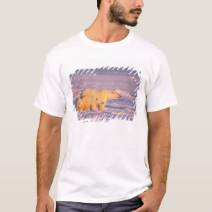 T-shirt Urso polar com filhotes de primavera no congelado