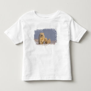 T-shirt urso polar, Ursus maritimus, fêmea com filhotes re