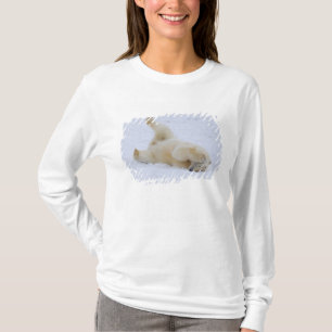 T-shirt urso polar, Ursus maritimus, filhote rolando