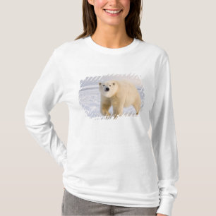 T-shirt urso polar, Ursus maritimus, no gelo e neve, 2
