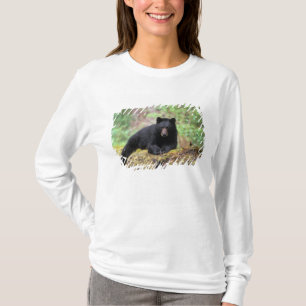 T-shirt Urso preto em um tronco de crescimento antigo na